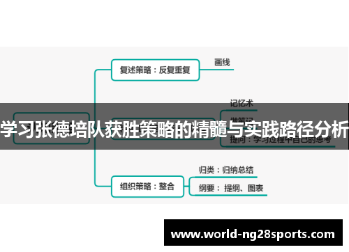 学习张德培队获胜策略的精髓与实践路径分析