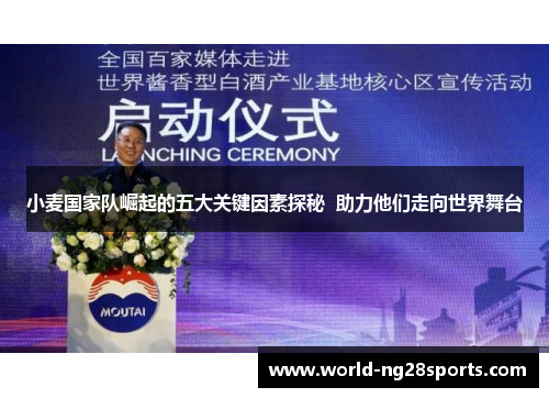 小麦国家队崛起的五大关键因素探秘  助力他们走向世界舞台